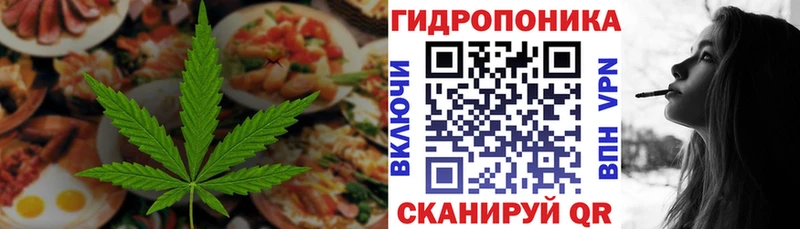 Купить Кандалакша Canna-Cookies марихуана