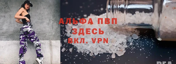 СК Елизово