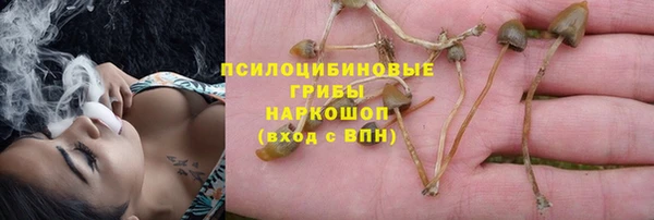 дживик Заволжск