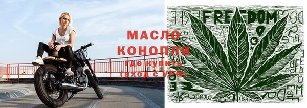 СК Елизово