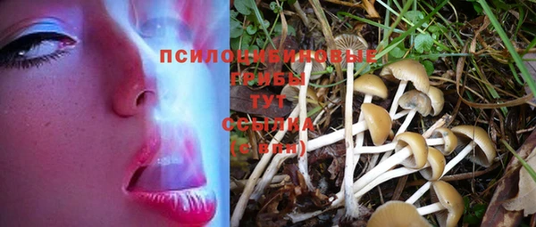 ешки Заводоуковск