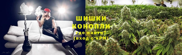 ешки Заводоуковск