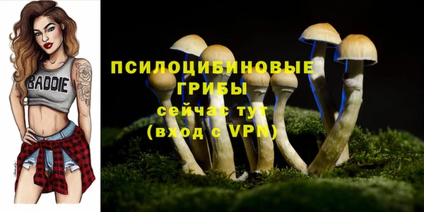 mdpv Елабуга