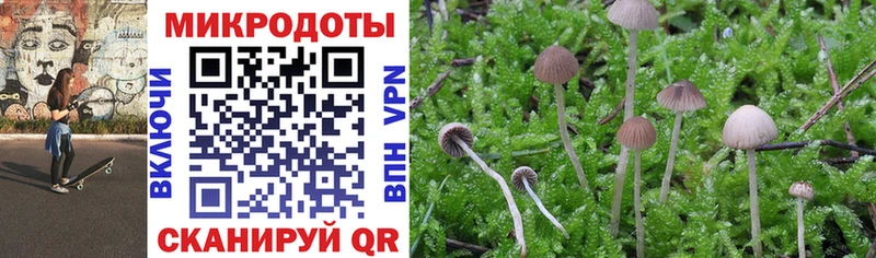 Галлюциногенные грибы GOLDEN TEACHER  Купить закладки  Кандалакша 